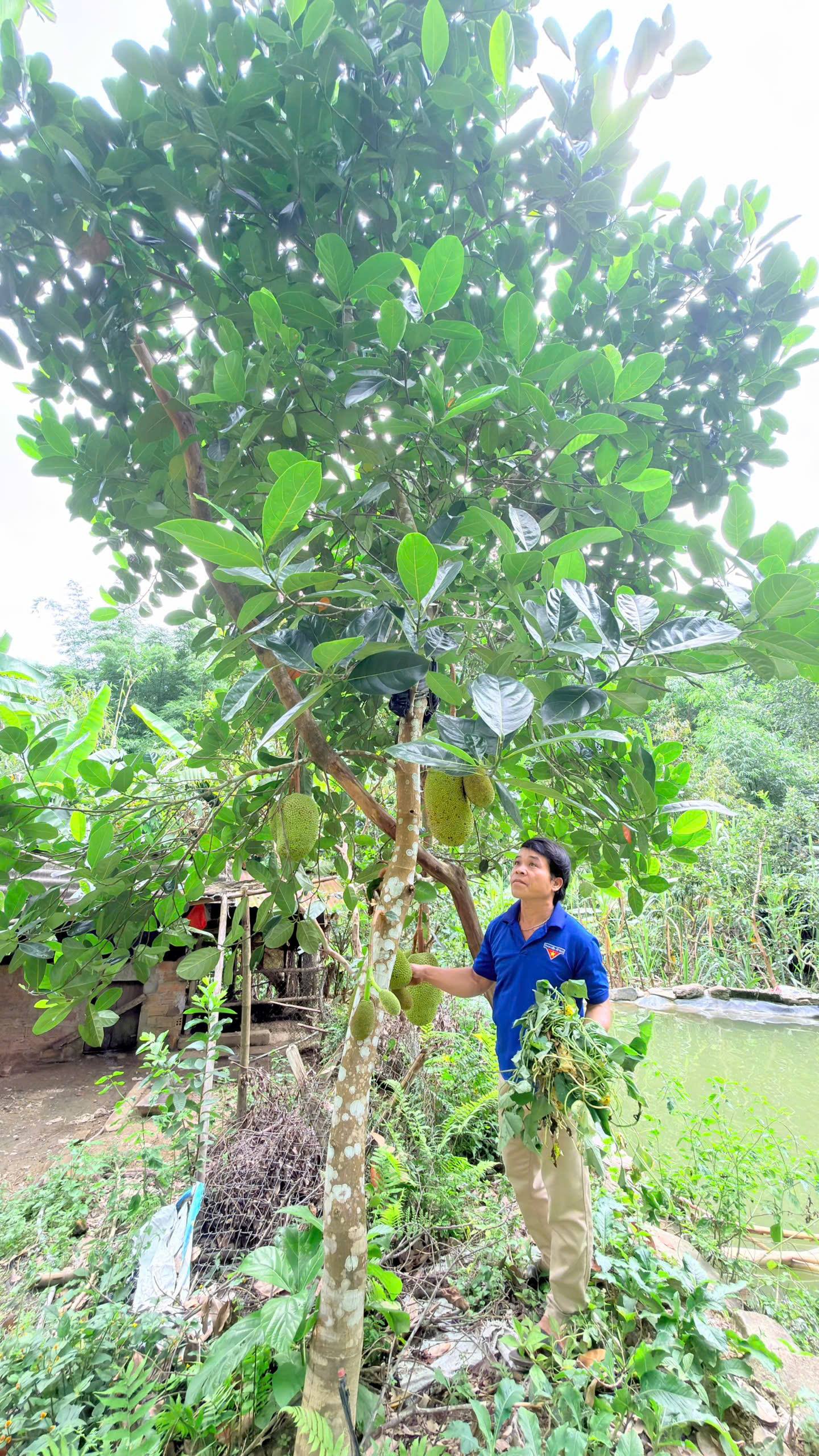 anh tin bai